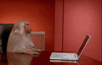 monkey-laptop-gif