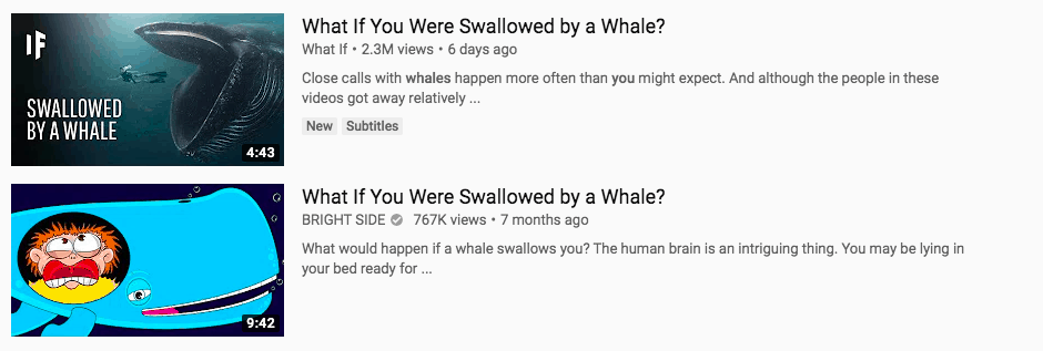 whale-thumbnail-2